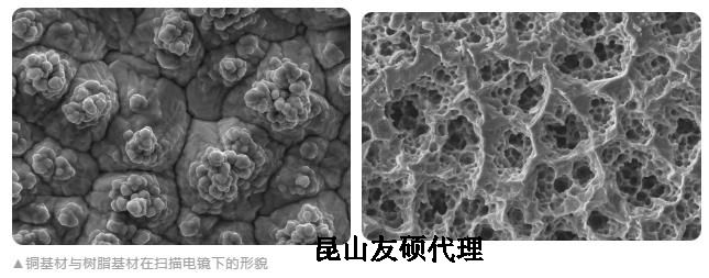 黔东南蔡司黔东南扫描电镜